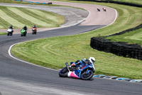 enduro-digital-images;event-digital-images;eventdigitalimages;lydden-hill;lydden-no-limits-trackday;lydden-photographs;lydden-trackday-photographs;no-limits-trackdays;peter-wileman-photography;racing-digital-images;trackday-digital-images;trackday-photos